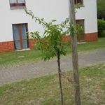 Mirabelle Nancy im August 2019.