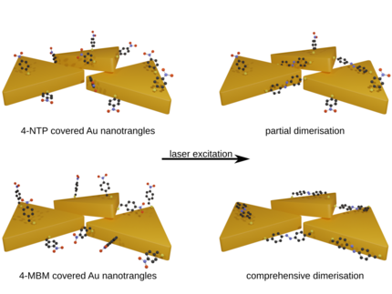 Schematic of partial and comprehensive photoinduced dimerisation of4-NTP and 4-MBM, respectively.