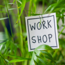 The word "workshop" written on a piece of paper sticking in a green plant