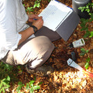 Foto: Scientist measuring soil moisture in the forest floor with a hand held device, taking notes in a note book | Foto: Cosmic Sense consortium