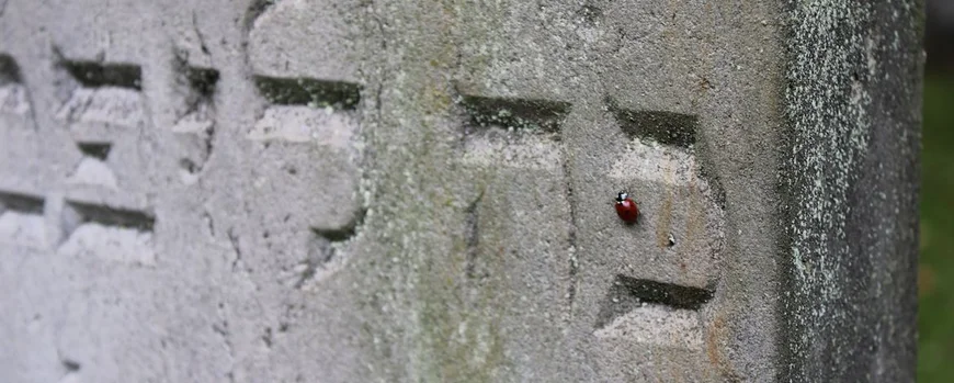 Der älteste Grabstein des Jüdischen Friedhofs in Storkow