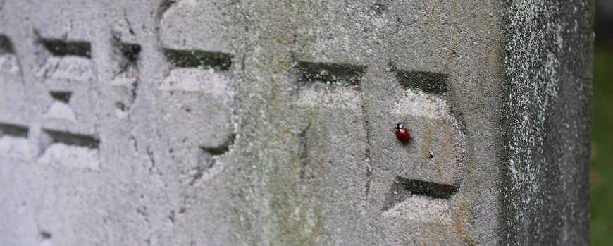 Der älteste Grabstein des Jüdischen Friedhofs in Storkow