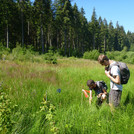 Foto: People in knee high grass investigating the floor with forest in the background | Foto: Cosmic Sense consortium