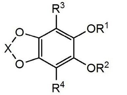 chemical structure of the novel flourescent dyes