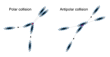 collisions types of microorganism