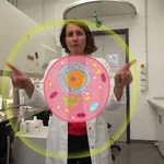 Prof. Dr. Katja Hanack bei ihrer Vorlesung „Wie bleibe ich gesund? – Ein Blick in das menschliche Immunsystem“ | Foto: ZIM