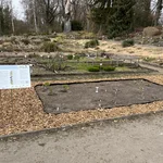 this is a climate bed