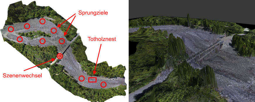 Draufsicht und 3D-Umgebung