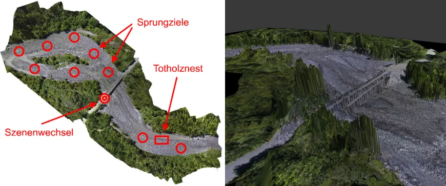 Draufsicht und 3D-Umgebung