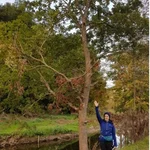 Trierbach at Müsch, 11/10/2021: Trees next to a stream marked by the flood
