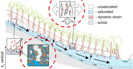 Earthquake Hydrology