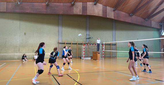Team Volleyball Damen