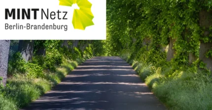 MINT-Netz Berlin-Brandenburg