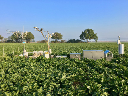 Picture of CRNS and other measuring equipment in a cropped field | Foto: Cosmic Sense consortium