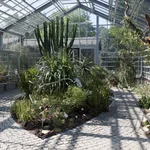 Succulents Greenhouse at the Botanical Garden