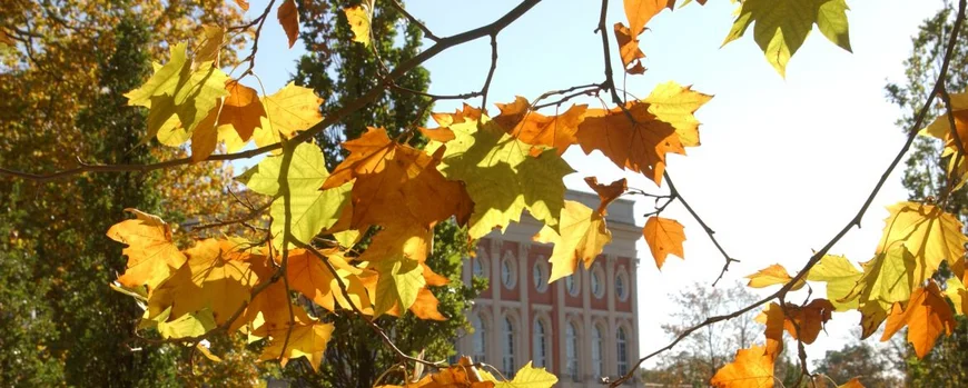 Herbst Standort Neues Palais