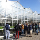 The Warm Greenhouse with salad and herbs