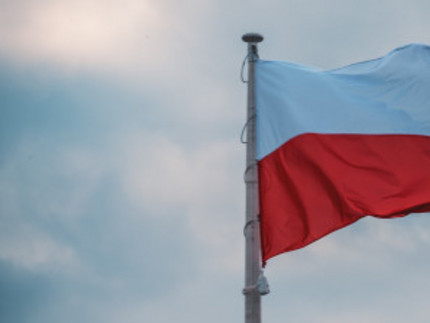 polnische Flagge weht im Wind