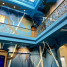 Das Treppenhaus der Universidad Católica del Uruguay.