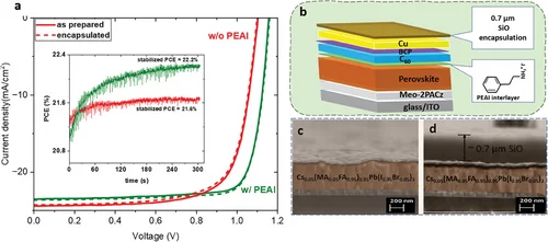 Figure 1 of Seid Small 2024