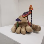 Lilly Hubatsch: „Fußpilz“