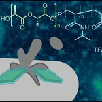 TOC Biomacromolecules 2024