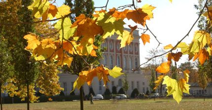 Herbst am Neuen Palais