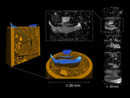 Dreidimensionale Analyse einer Bodenprobe, die Fragmente einer Polyethylenfolie enthält. Die Neutronentomographie (Grautöne) zeigt deutlich, wo sich die PE-Fragmente befinden. Die Röntgentomographie der Probe (Ocker) enthüllt die Bodenstruktur: überlagert mit der Neutronentomographie werden die darin enthaltenen PE-Teilchen (blau) sichtbar. Tötzke et al. 2024