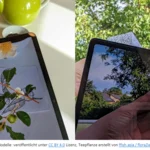 Hände mit iPads und darin abgebildeten 3d-Modellen von Teepflanze und Walnuss