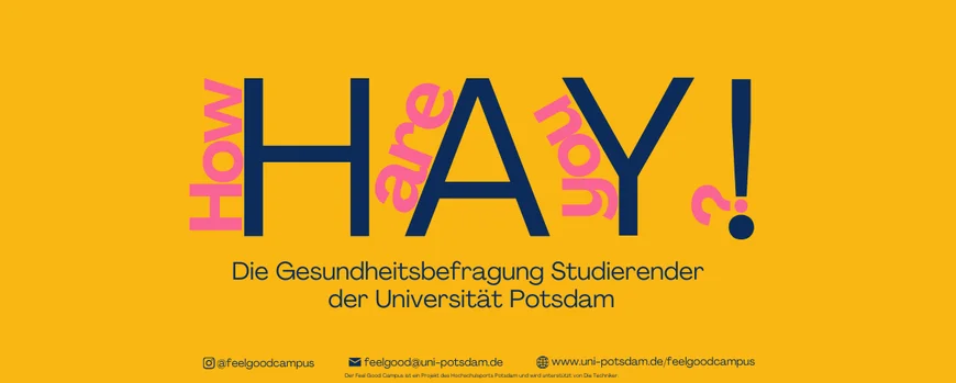 HAY! How are you?