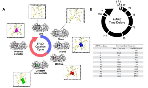 HARE - Hit and return Serial Crystallography