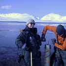 Drilling the sea-ice sample