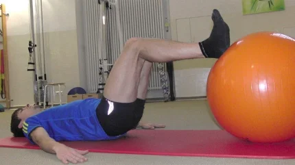 Integrative Sport-, Bewegungs- und Gesundheitswissenschaft (Master of Science)