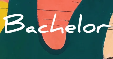 1. Stufe: Bachelor-Ebene