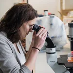 Zellkultur: Molekularbiologin Prof. Dr. Katja Hanack ist spezialisiert auf immunologische Forschung.
