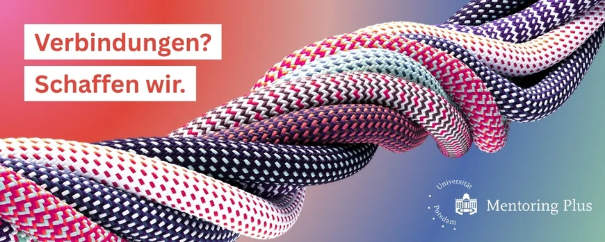 Verbindungen? Schaffen wir. Mentoring Plus