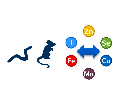 Trace Elements in Animals