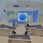 Rettet die Insel Box