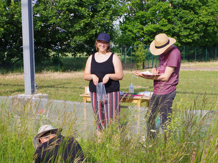 a group of people in a grass field