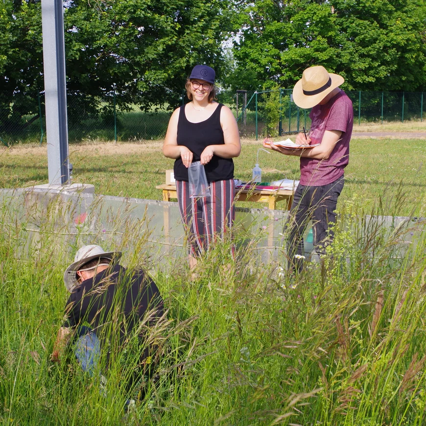 a group of people in a grass field
