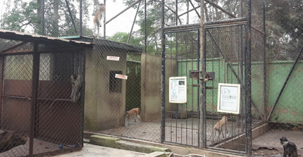 Im Zoologischen Garten der Universität von Ibadan. | Foto: Valerie Pobloth/Isabel Dückert
