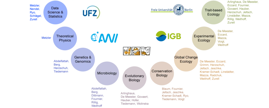 Overview of disciplines, people and institutions involved 