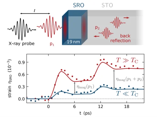 Schematic of the laser pump--x-ray probe experiment on a thin SRO film and measured transient SRO strain below and above the magnetic phase transition.