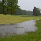 Foto: flooded meaow with partially submerged gauge | Foto: Cosmic Sense consortium