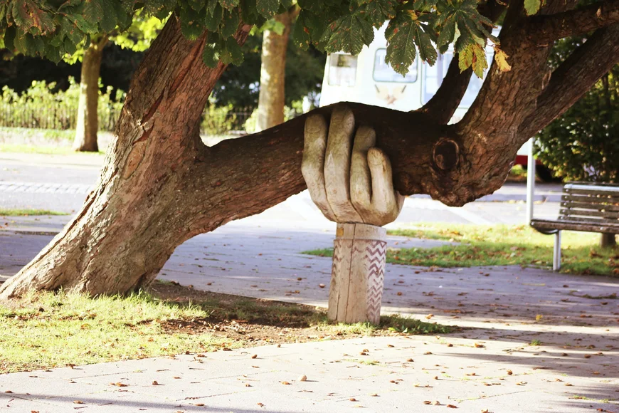 Tree supported by hand sculpture