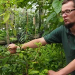 Steffen Ramm erklärt die Besonderheit einer Pflanze