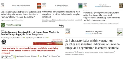 Collage of various publications by NamTip scientists