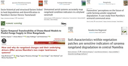 Collage of various publications by NamTip scientists