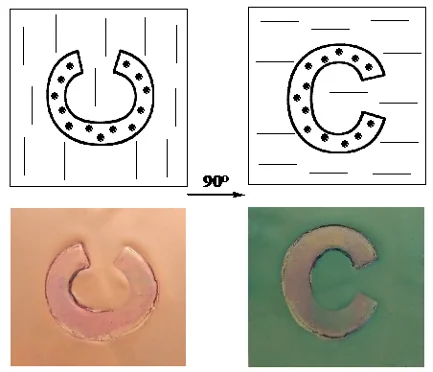Optisch anisotroper Polymer-Nanokomposit-Film mit gespeicherter Information bei Drehung um 90 unter polarisierten Licht. Hintergrundfarbe ändert sich bei der Drehung von orange zu grün, dabei bleibt die Farbe der Struktur in der Mitte gleich (orange-rot).
