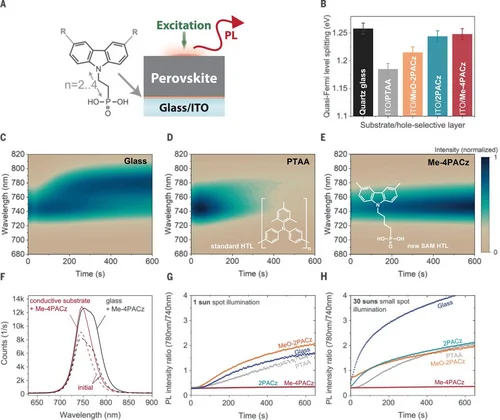 Figure 1 of Al-Ashouri Science 2021